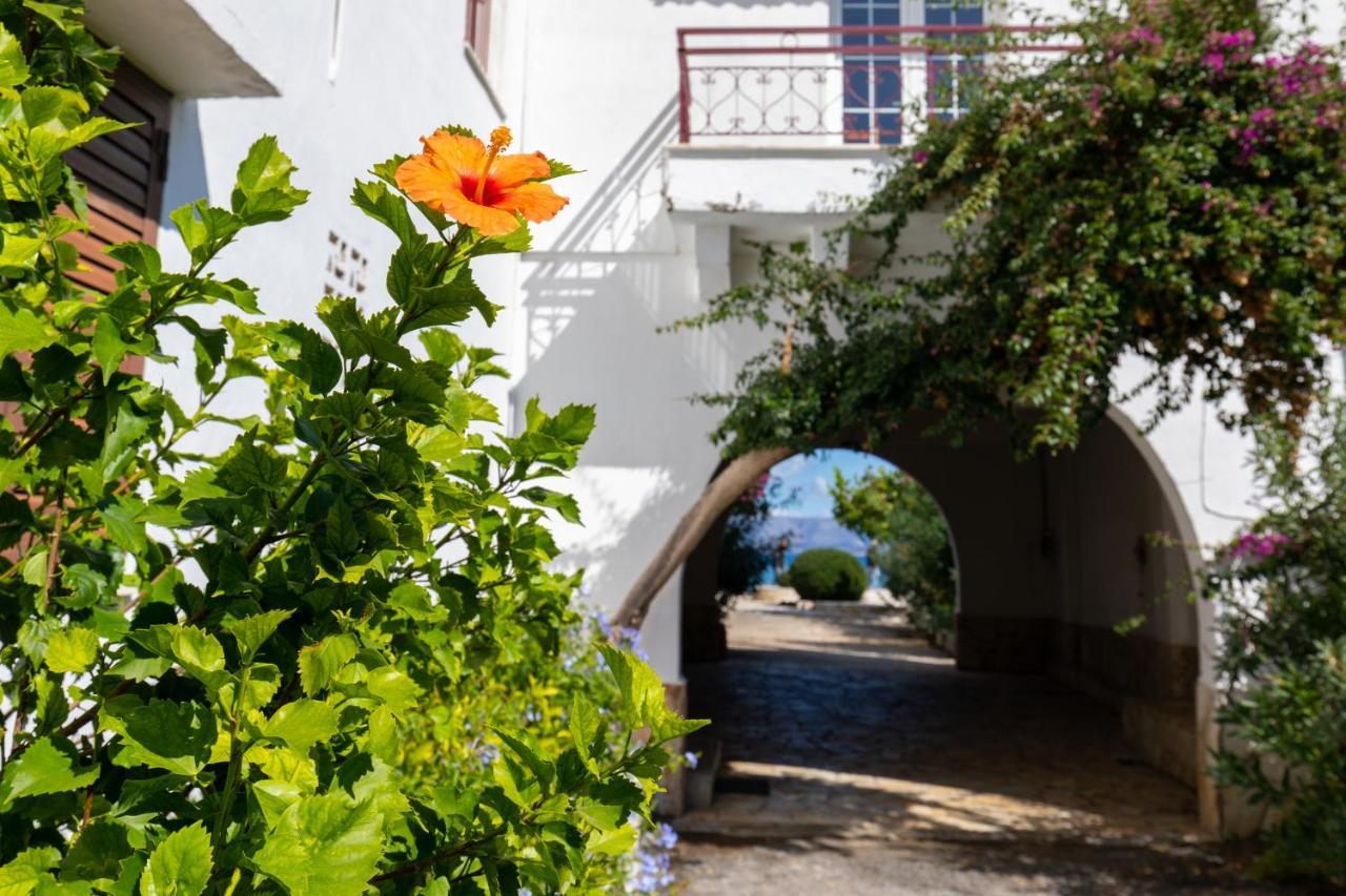 Island Kavos Annex Studios Kávos Exterior foto